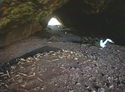 Inside the cave, Albatross Island