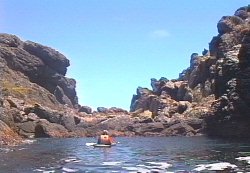 Mick about to land, Albatross Island