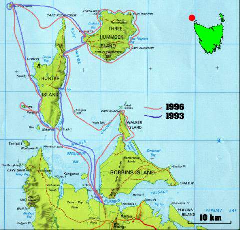 A trip to Albatross Island