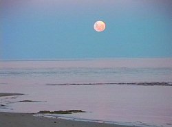 Moonrise Over Hunter Island