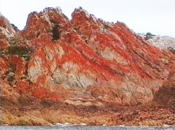 Lichen on Cathedral Rocks