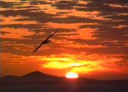 Sunrise over Three Hummock Island