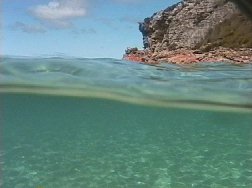 Clear waters of Shepherds Bay, Hunter Island