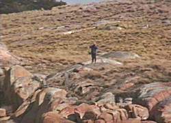 Laurie on Vansittart Is.