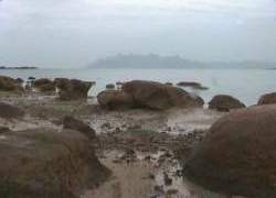 Harbour, Cape Barren township