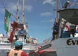 Fishing boats, Petticoat Bay, Cape Barren Is.