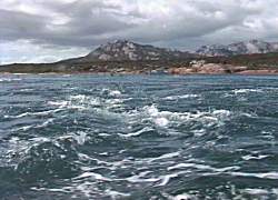 The tidal rip, Sea Lion Narrows