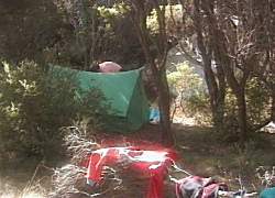 Campsite, Moriarty Point, Cark Is.