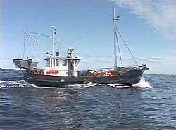 Fishing boat, SW Cape