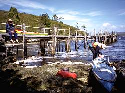 Arriving at Claytons, Bathurst Harbour