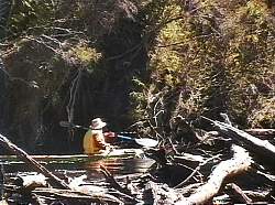 Laurie retrieving paddle, Old River