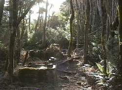 Old bakery, Sarah Island