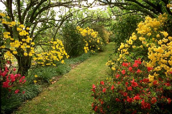 The Apple & Pear Walk, Lalla.