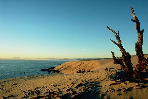 East Sandy Cape dunes