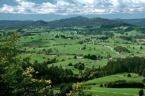 View from the Sideling