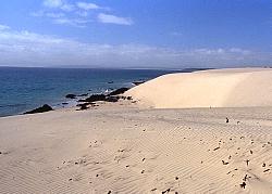 Sand dunes, East Sandy Cape