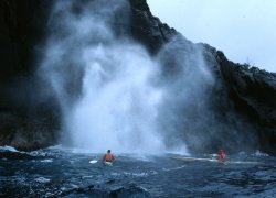 The blow hole