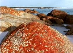 Granite boulders