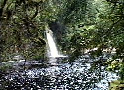 Sir John Franklin Falls