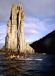 A stack, Tasman Peninsula