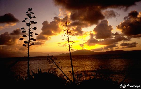 Tasmanian seascapes