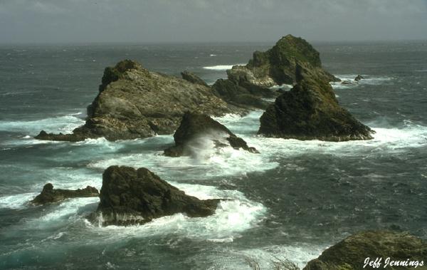 Tasmanian seascapes