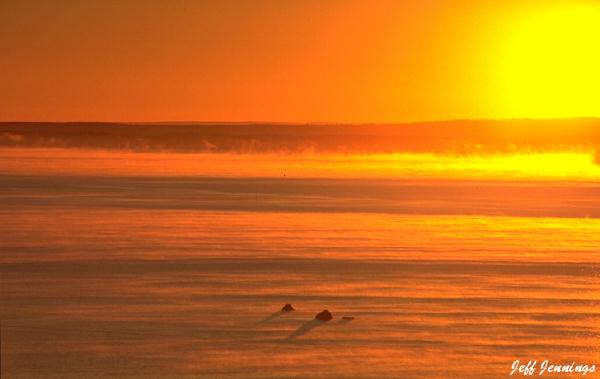 Tasmanian seascapes