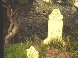  Eliza Baudinet's grave