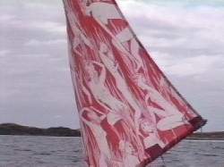 Lauries' provocative sail