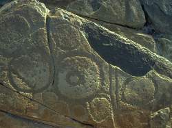  Tasmanian Aboriginal rock carvings, Sundown Point