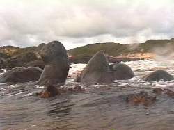 Rocks at Ingram Bay