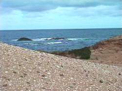 Aboriginal middens, Ingram Bay